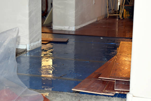 Professional Water Damage Repair technician working in Byram, CT